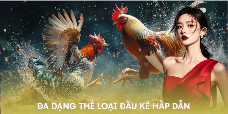 da-ga-fv88-the-loai
